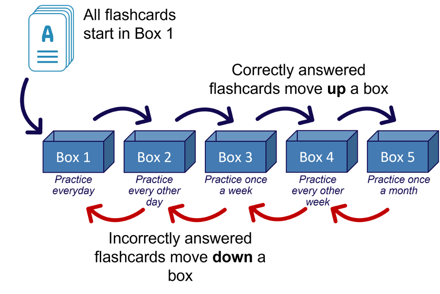 Leitner’s Flashcard implementation of spaced repetition; visual representation of flashcards correctly answered being moved up a box and incorrectly answered being moved down a box. There are 5 boxes.
